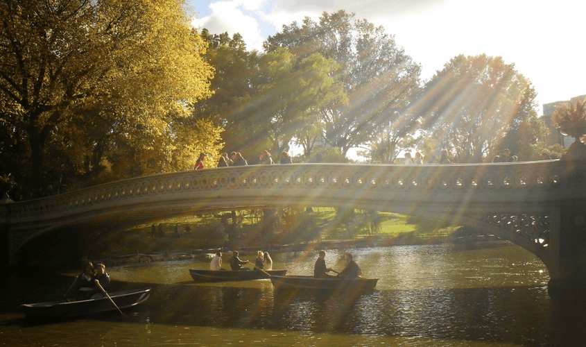 Summer Ivy+ Events in&nbsp;NYC